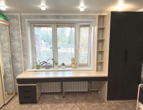 Рабочая зона модель r106 купить в Хотьково